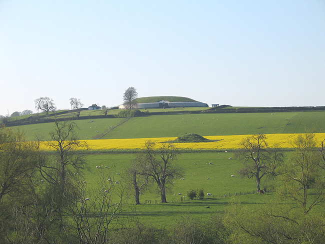 Main Newgrange Passage Tomb and Satellite Mound (Site A) in field of rape seed taken from south of the River Boyne.
