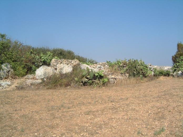 This ruined temple has never been properly explored and most of the surviving megalithic blocks are either built into modern field walls or covered by carob and prickly pear trees (which, believe me, you do not want to mess with!).
This shot is of the most accessible surviving wall which has been incorporated into a modern field wall.