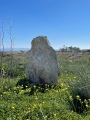 Ta’ Ċenċ Dolmen III - PID:268873