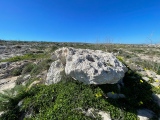 Ta’ Ċenċ Dolmen III - PID:268875