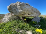 Ta’ Ċenċ Dolmen III - PID:268874