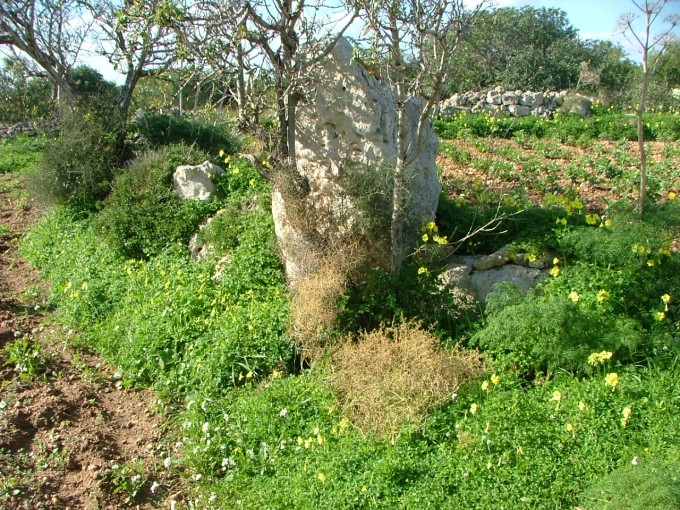 Part of the southern wall of the main structure. Most has disappeared leaving this single standing megalith. The western wall can be seen in the background.