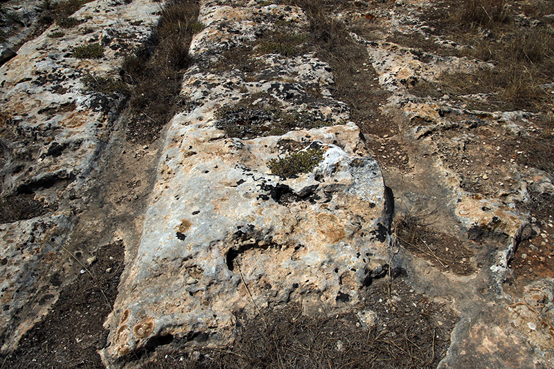 Tal Wej Cart Ruts Ancient Trackway The Megalithic Portal And Megalith Map 2146