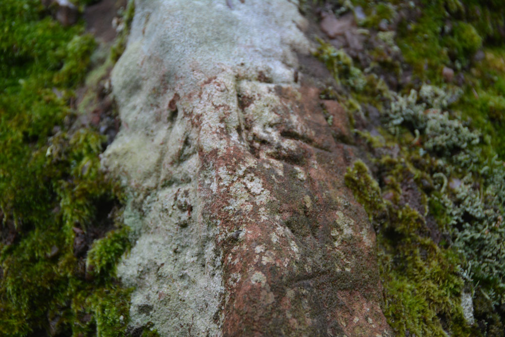 The southern most stone has graffiti on it, including what looks like this small cross with expanded terminals (recorded by Canmore in 2009).