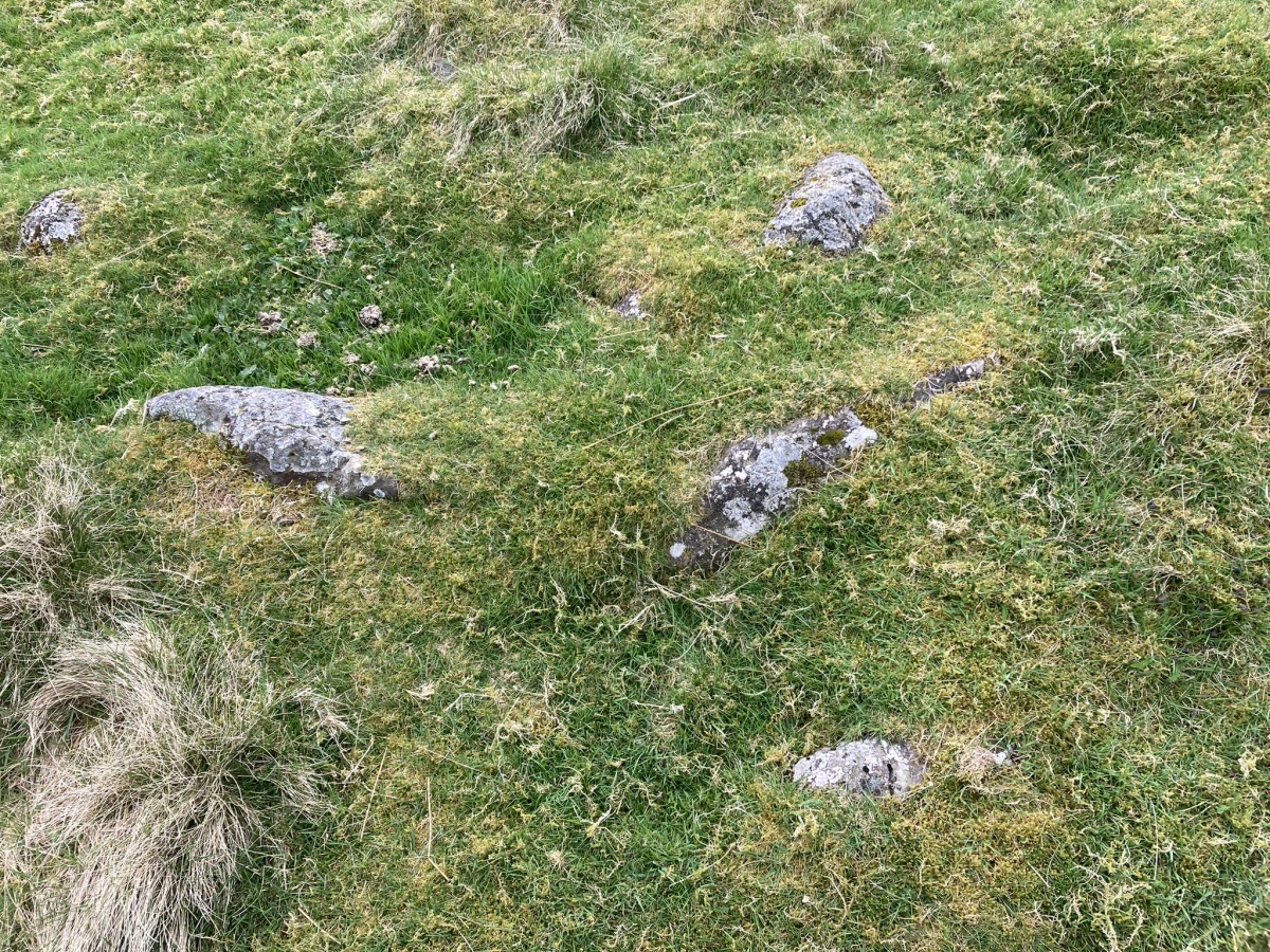 Exposed Stones in N Half of Ballageich Hill Cairn.