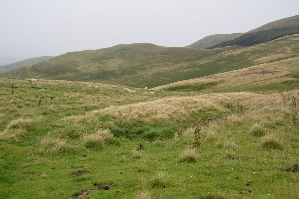 Stob Rig (Yetholm)