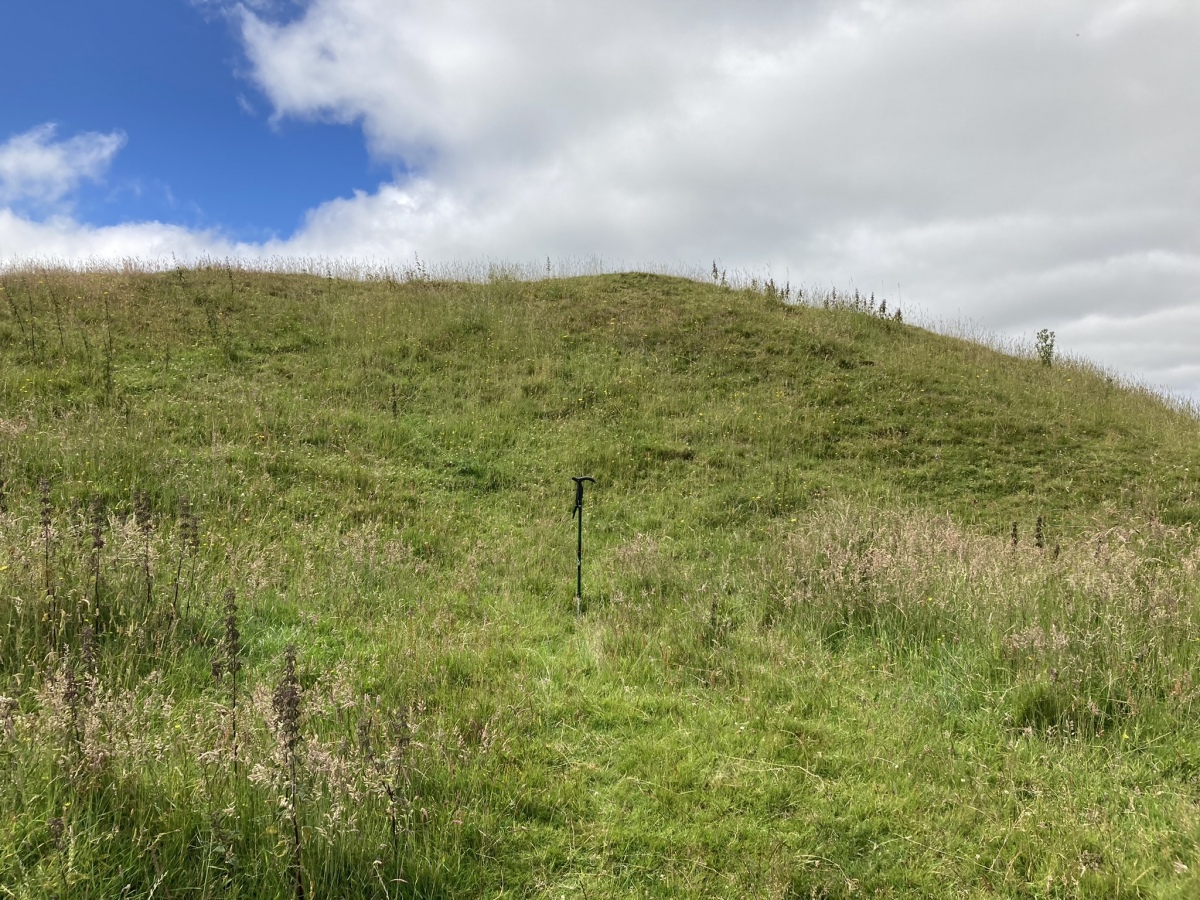 Inner Rampart of W Flank of  Kildoon Fort viewed from E (yardstick for scale).