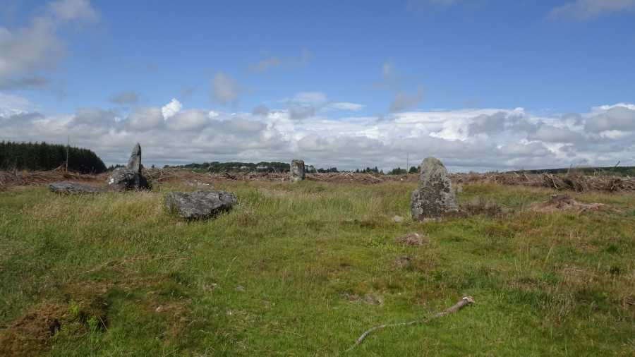 Louden Wood Stone Circle, pictured in July 2023, now free from its all embracing woodland.
