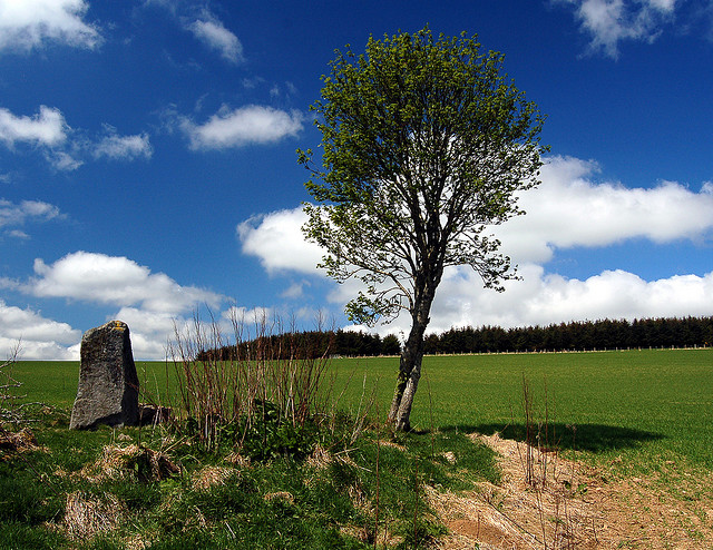 The most prominent stone. An oval-ish rubbly kerb ravaged by rabbit holes marks the perimeter of this site.