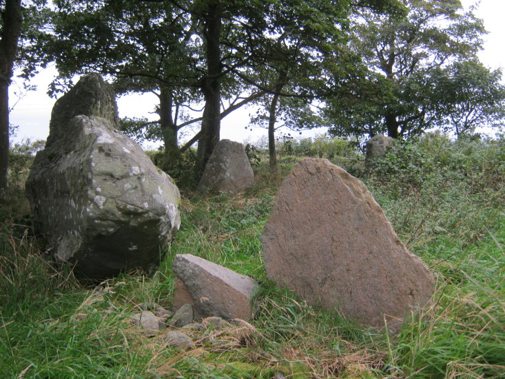 In this photograph you can see the residual 5 stones from this much altered and abused recumbent stone circle.  September 2012.