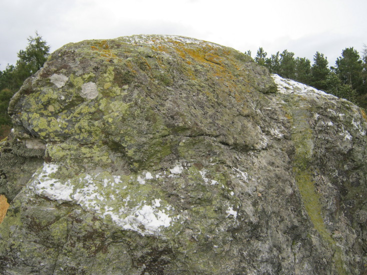 Quartz embedded in the stone.  September 2012.