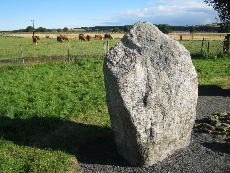 A lovely shaped stone viewed in September 2012.