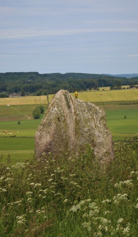 One of Sheldons stone has a Yellowhammer on it.