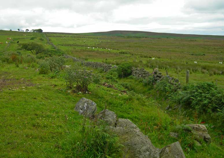 Raedykes Roman Camp