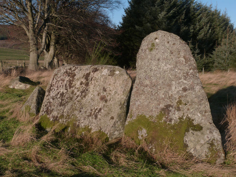 The recumbent setting of Tomnagorn Stone Circle glows in the noonday sunshine on December 26, 2013, a view that would have bneen impossible before the surrounding trees were harvested.