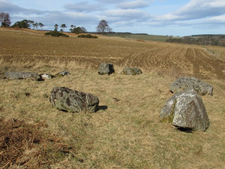 Whitehill Wood Stone Circle lies south of the B9025 Turriff-Aberchirder road in north Aberdeenshire. Turn off at the junction signposted 'Bogton 1 mile' and continue until, just after a sharp bent to the right, the gatehouse to Carnousie Estate/Castle appears. Go through this gateway and follow the eatate track for 0.4 mile then park on the verge opposite Carnousie Castle (which is on the right).
