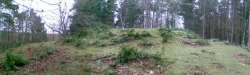 Woods of Dunnottar Cairn - PID:70428