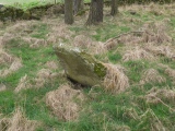 Balnacraig Stone Circle - PID:87975