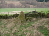 Balnacraig Stone Circle - PID:87976