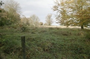 Whitehill Wood - PID:17685