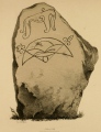 Broomend of Crichie Pictish Symbol Stone - PID:104414
