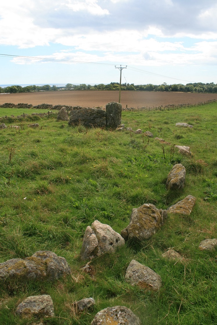 Old Bourtreebush stone circle is just the other side of the brown naked field by the telegraph pole.