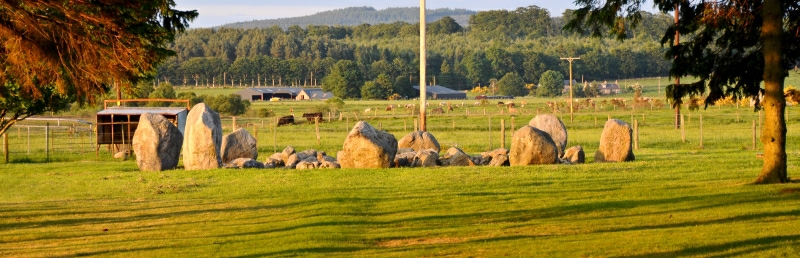 Cullerlie Stone Circle in the evening sun.
June 2010