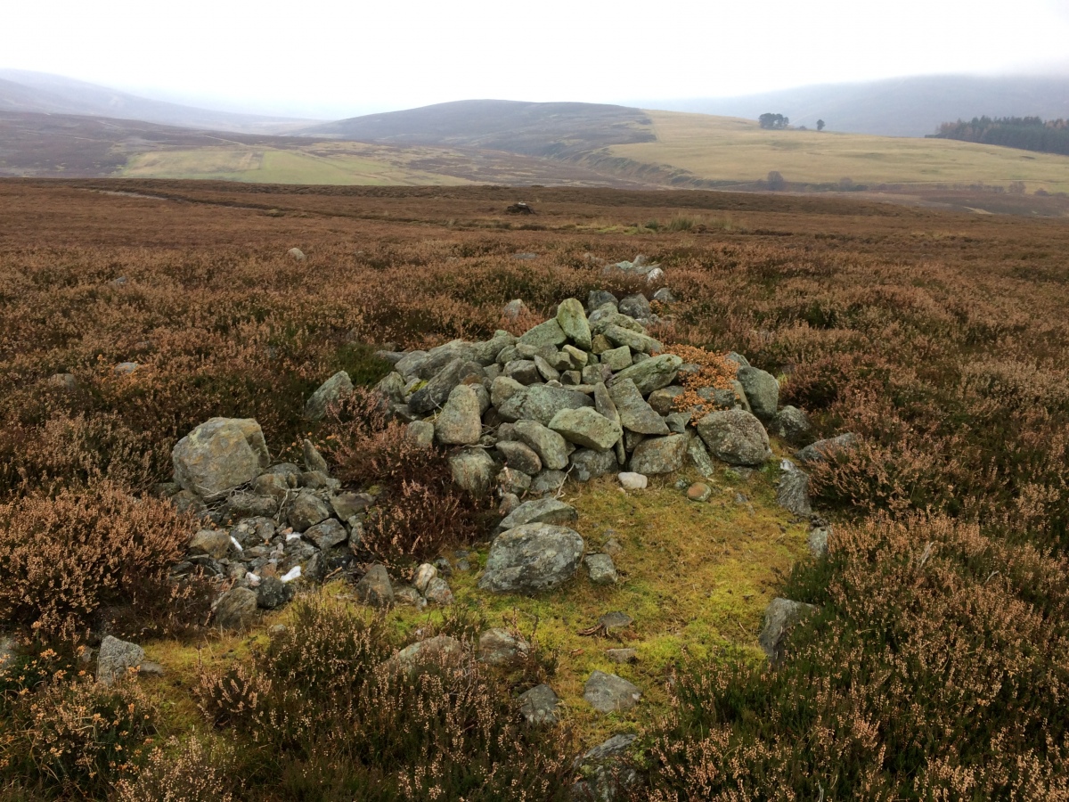 Centre of Baillies White Cairn with remaining stone pile.
