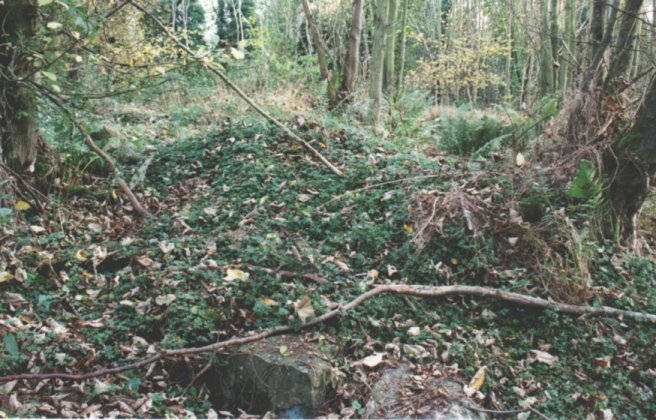 This broch is on private ground in the gardens of a house in the village of Liff, just outside Dundee.  Permission  MUST be sought from the owner to view.  The broch is very difficult to discern initially, being heavily overgrown, but the general layout is visible.  It forms part of what was described as a 