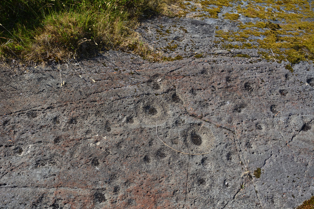 Leckuary Rock Art