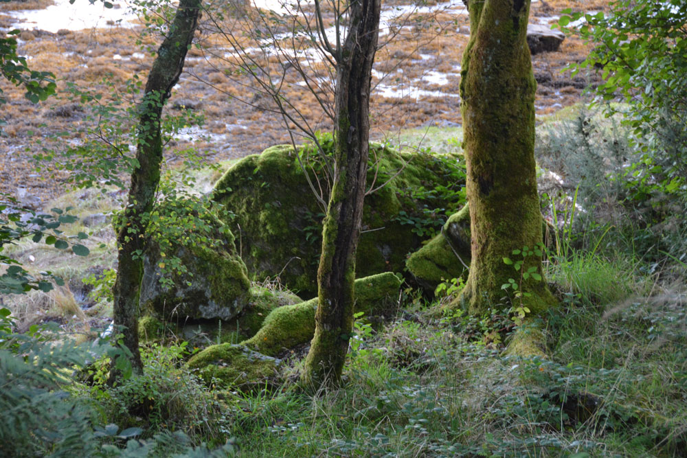 Meckan's Grave (Loch Riddon)