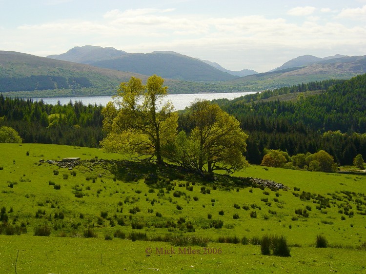 View looking southeast across the cairn towards Douglas Water. The remains of this Clyde type chambered cairn are about 45metres long by 11metres wide but it has been truncated around the edges by ploughing. It is situated on farmland at about 120 metres above sea level. Access is along the track to Achagoul farm from the A831 (ask permission), then up the hill towards the woods. Achnagoul 2 is in