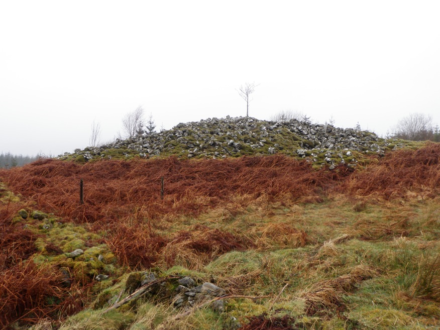  This Cairn is in the forest commission land, in a clearing.