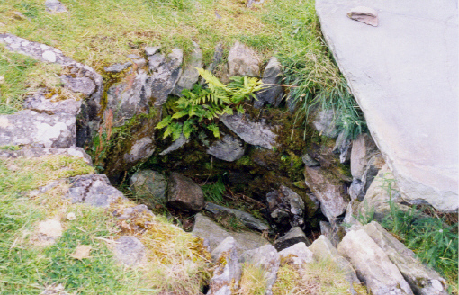 Another view of Dunadd fort's well. I remember reading that the inauguration stone on the higher level was still in use in the 15th century, so maybe this well was restored several times over the centuries to provide a supply of water for the crowds who gathered for these ceremonies?

(Taken in 2002, and pics are beginning to fade.)