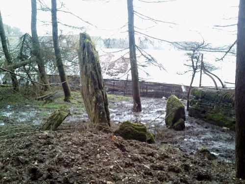 Standing stone with small stone ring, this stands to the middle behind the two standing stones in the yard.