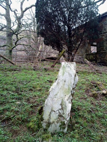 Small standing stone on the side of the mound above it. To the left of the tree the capstone of the kist is just visible.
