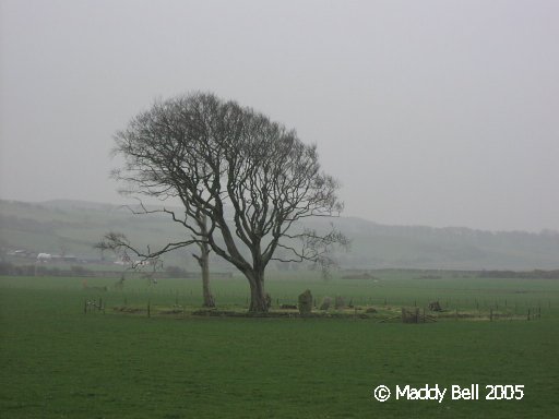 St Colmac Cottages Stone Circle