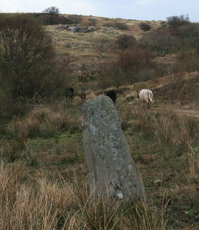 Creag Loisgte