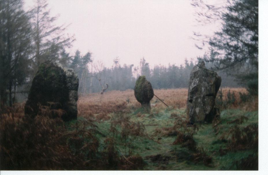 Blackpark Stone Circle