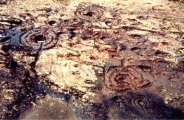 Ballygowan Rock Art - PID:114