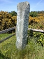 Cnoc na Carraigh Ogham Stone - PID:258620
