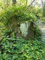 Kilmory Castle Standing Stone - PID:258847