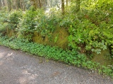 Kilmory Castle Standing Stone - PID:258849