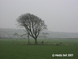 St Colmac Cottages Stone Circle - PID:24888