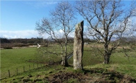 Castle Farm standing stone