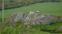 Peninver Bridge Standing Stone - PID:258819