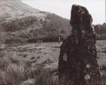 Loch Buie Stone Row - PID:272967