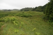 Serpent Mound - Loch Nell - PID:40077