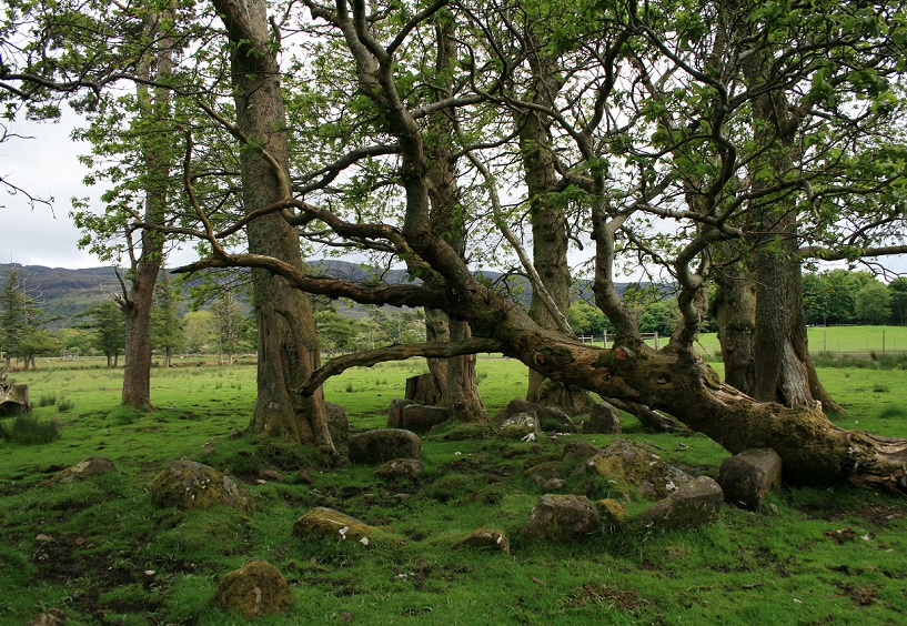 Site in Isle of Mull Scotland