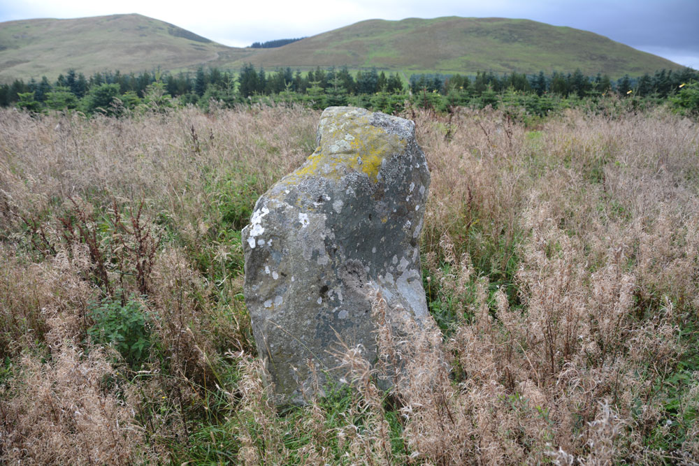 Moor Head (Brundean Laws)